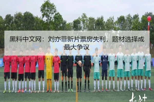 hei-liao-zhong-wen-wang-liu-yi-fei-xin-pian-piao-fang-shi-li-ti-cai-xuan-ze-cheng-zui-da-zheng-yi-2-367.jpg